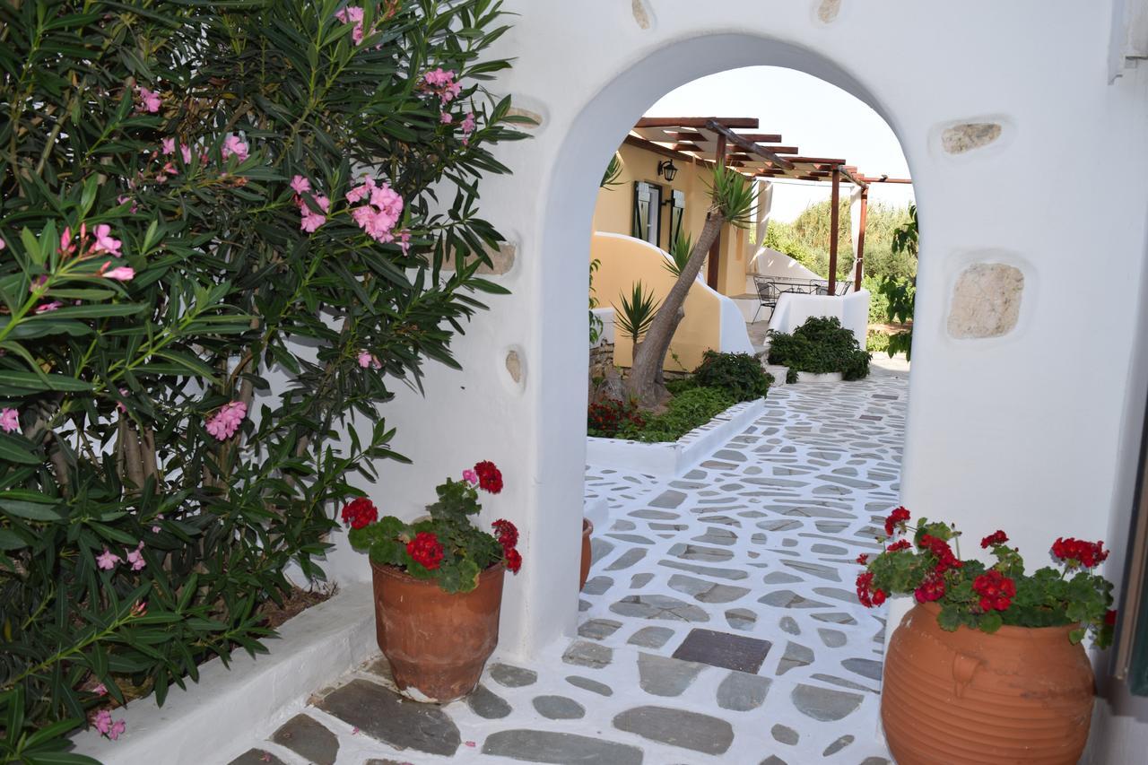 Tzane Studios & Apartments - Steps Away From Golden Beach Hriszí Aktí Kültér fotó