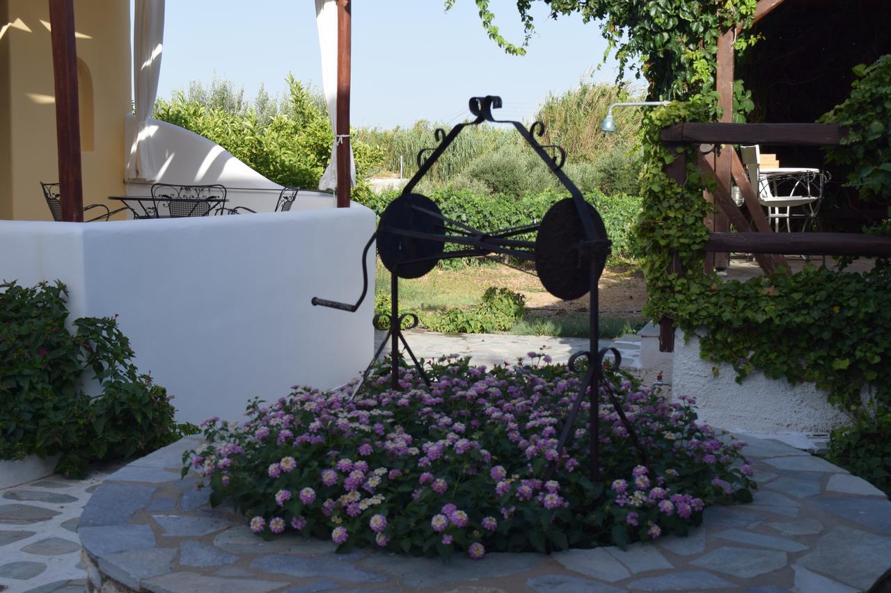 Tzane Studios & Apartments - Steps Away From Golden Beach Hriszí Aktí Kültér fotó